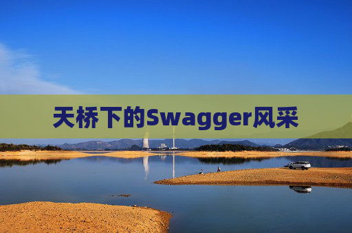 天桥下的Swagger风采